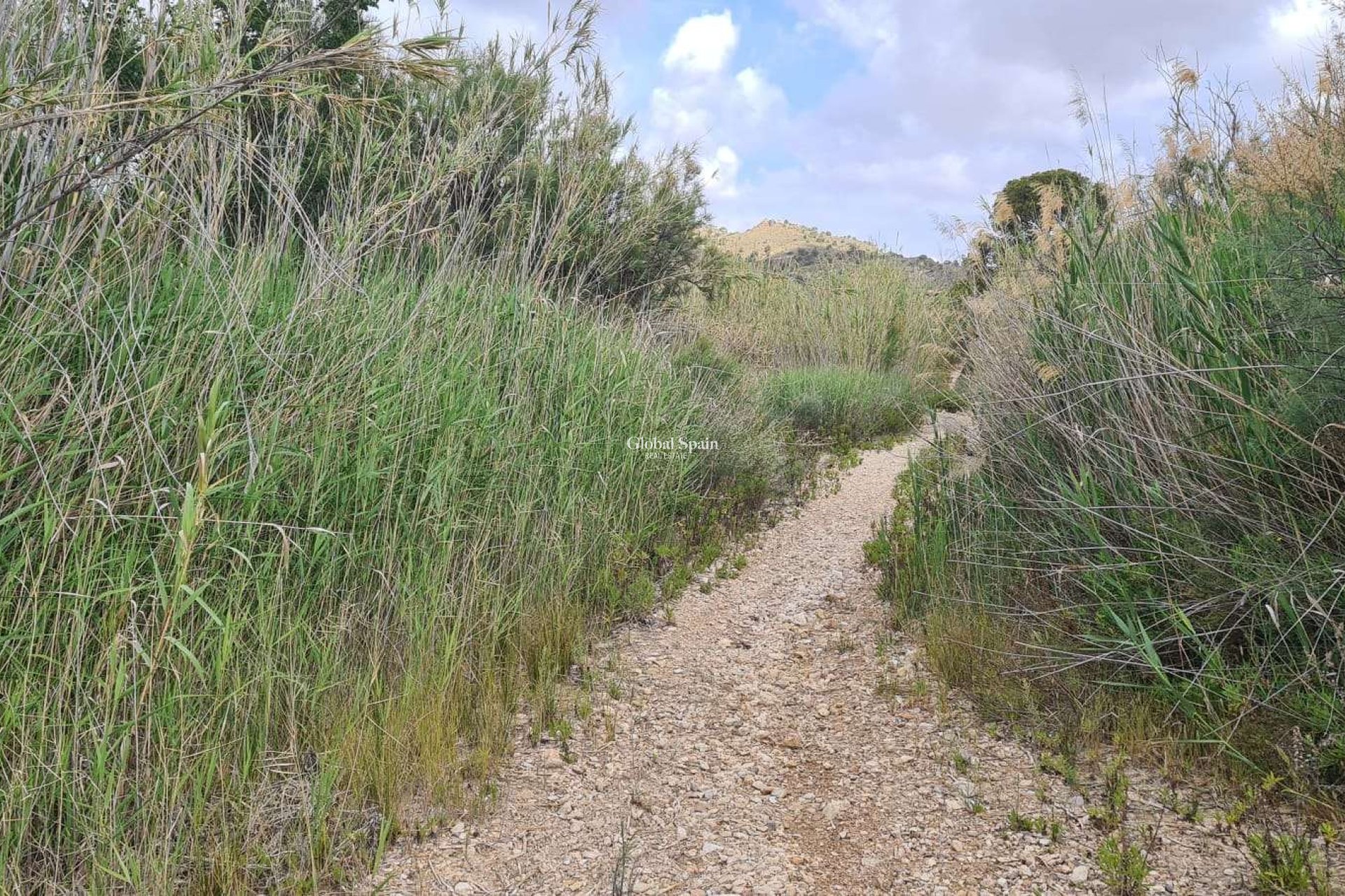 Wederverkoop - GROND -
MURCIA - Abanilla