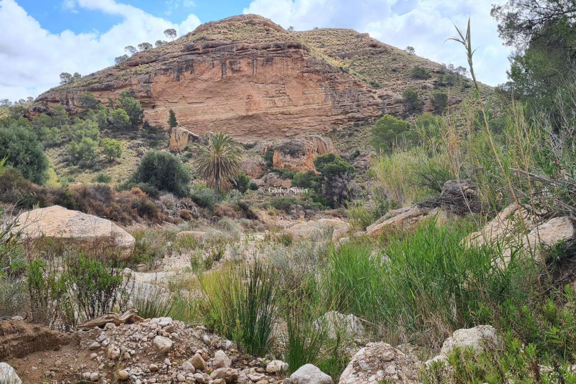 Wederverkoop - GROND -
MURCIA - Abanilla