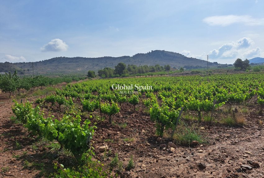 Wederverkoop - Grond -
Pinoso