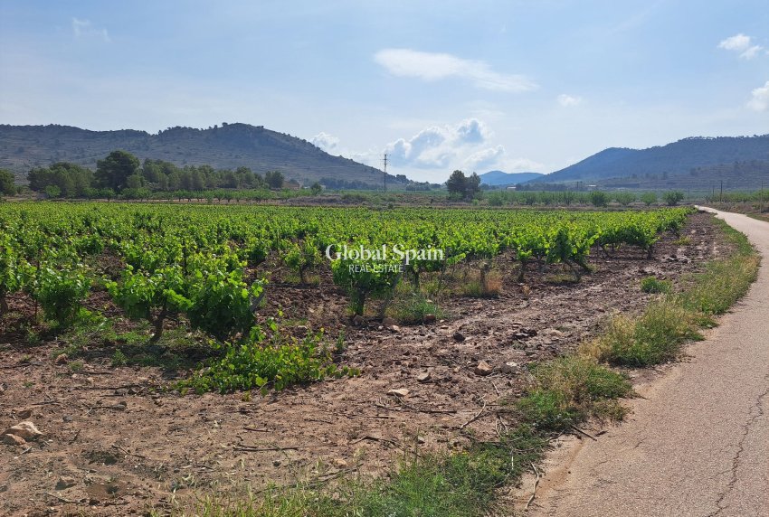 Wederverkoop - Grond -
Pinoso