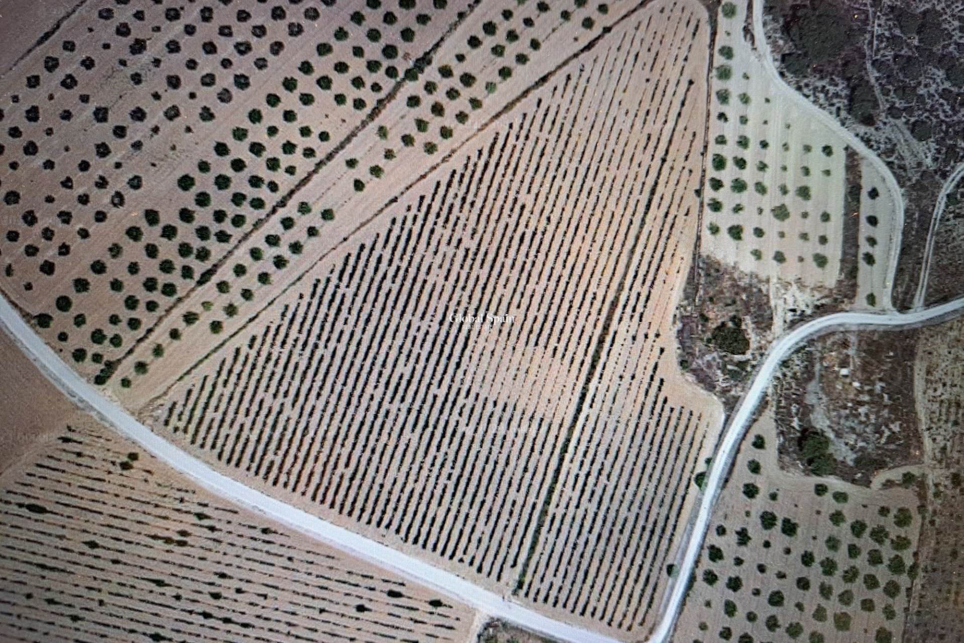 Wederverkoop - Grond -
Pinoso