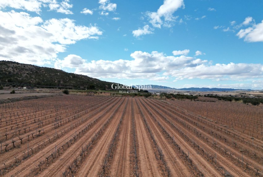 Wederverkoop - Grond -
Pinoso