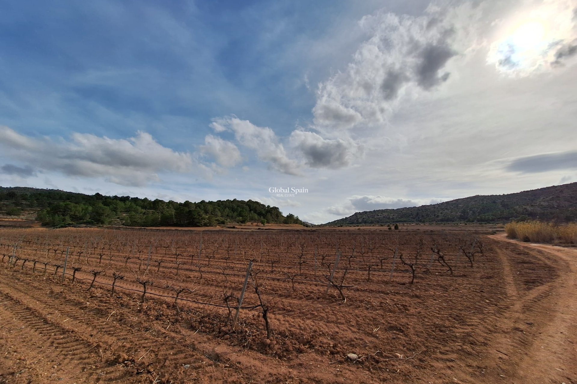 Wederverkoop - Grond -
Pinoso