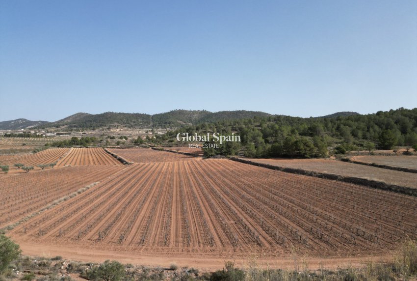 Wederverkoop - Grond -
Pinoso