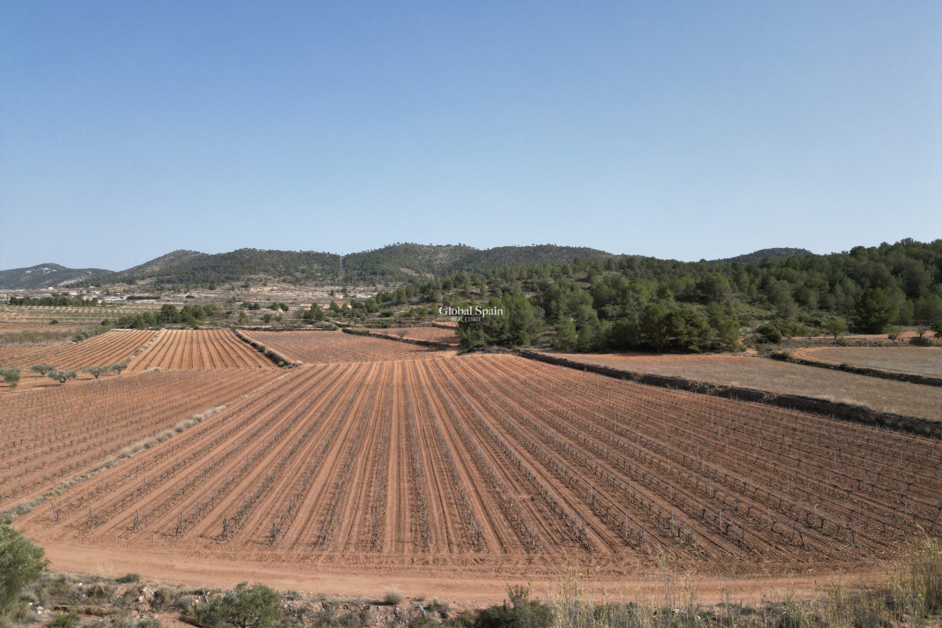 Wederverkoop - Grond -
Pinoso