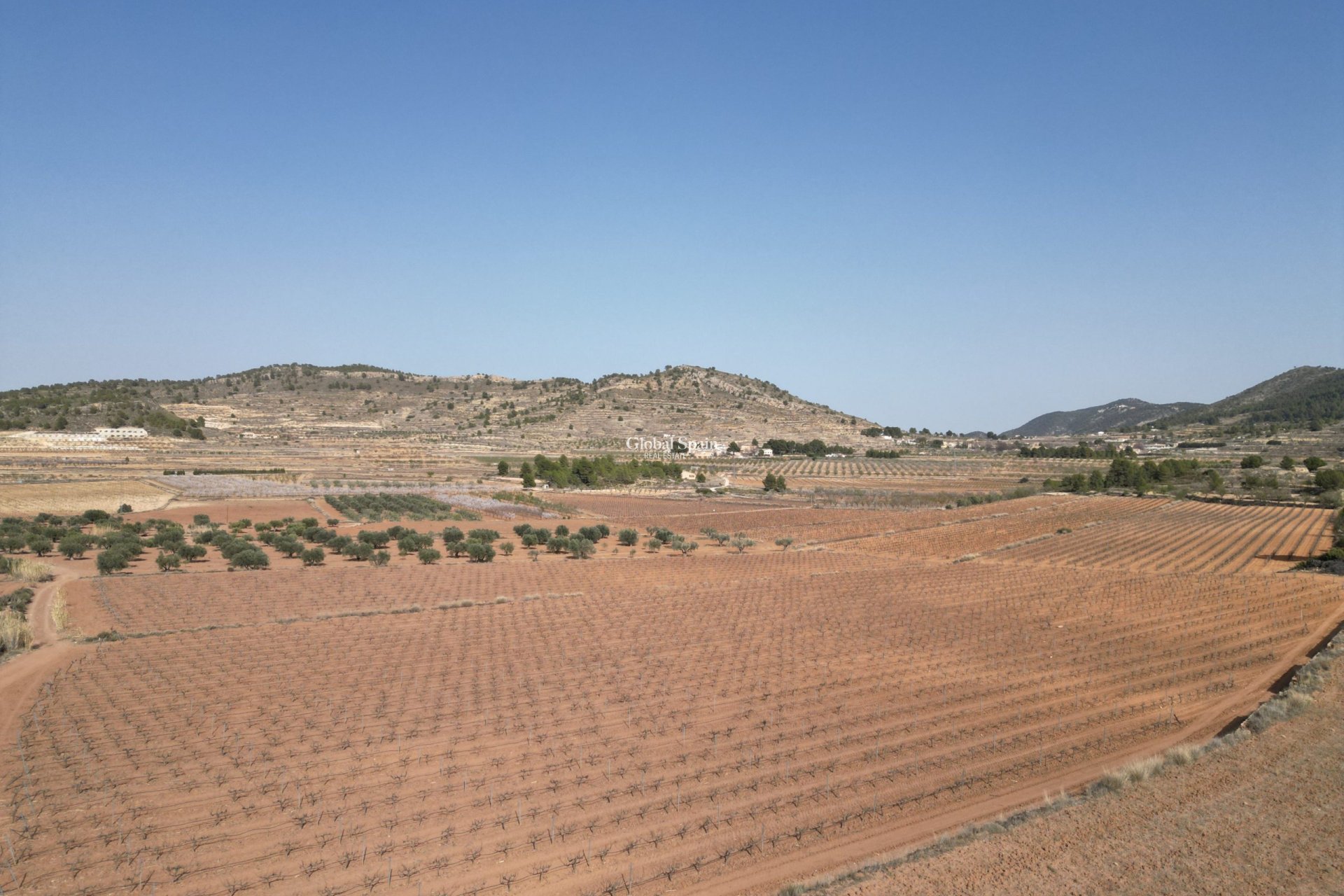 Wederverkoop - Grond -
Pinoso