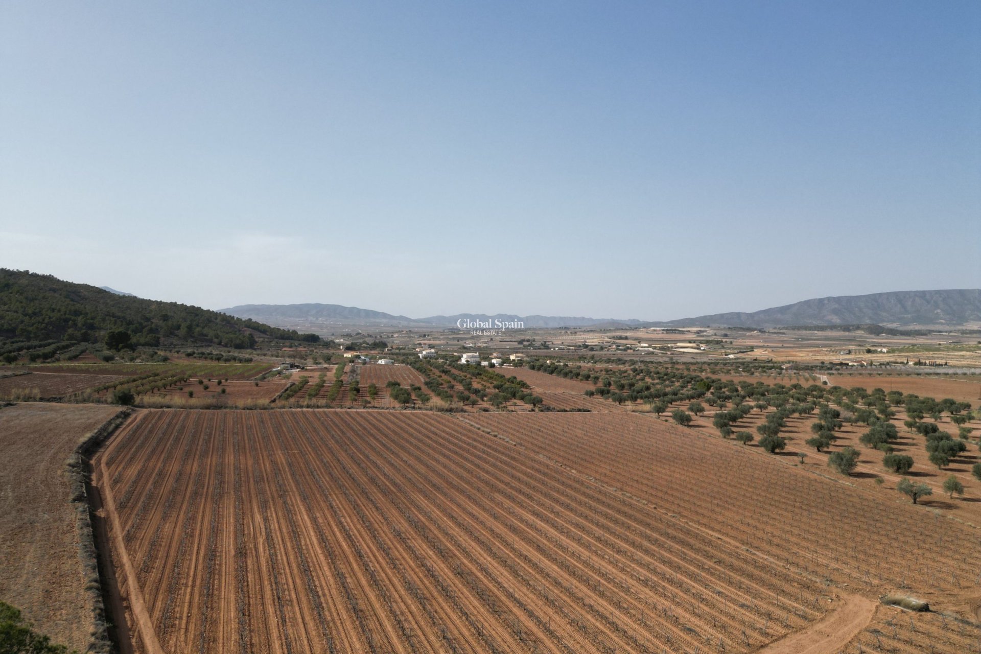 Wederverkoop - Grond -
Pinoso