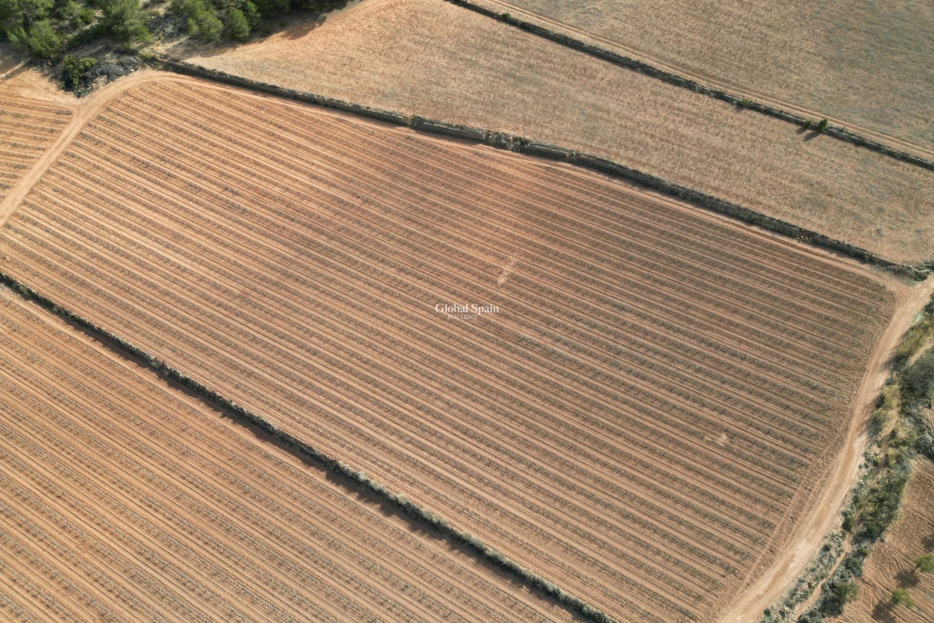 Wederverkoop - Grond -
Pinoso