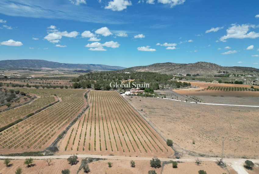 Wederverkoop - Grond -
Pinoso