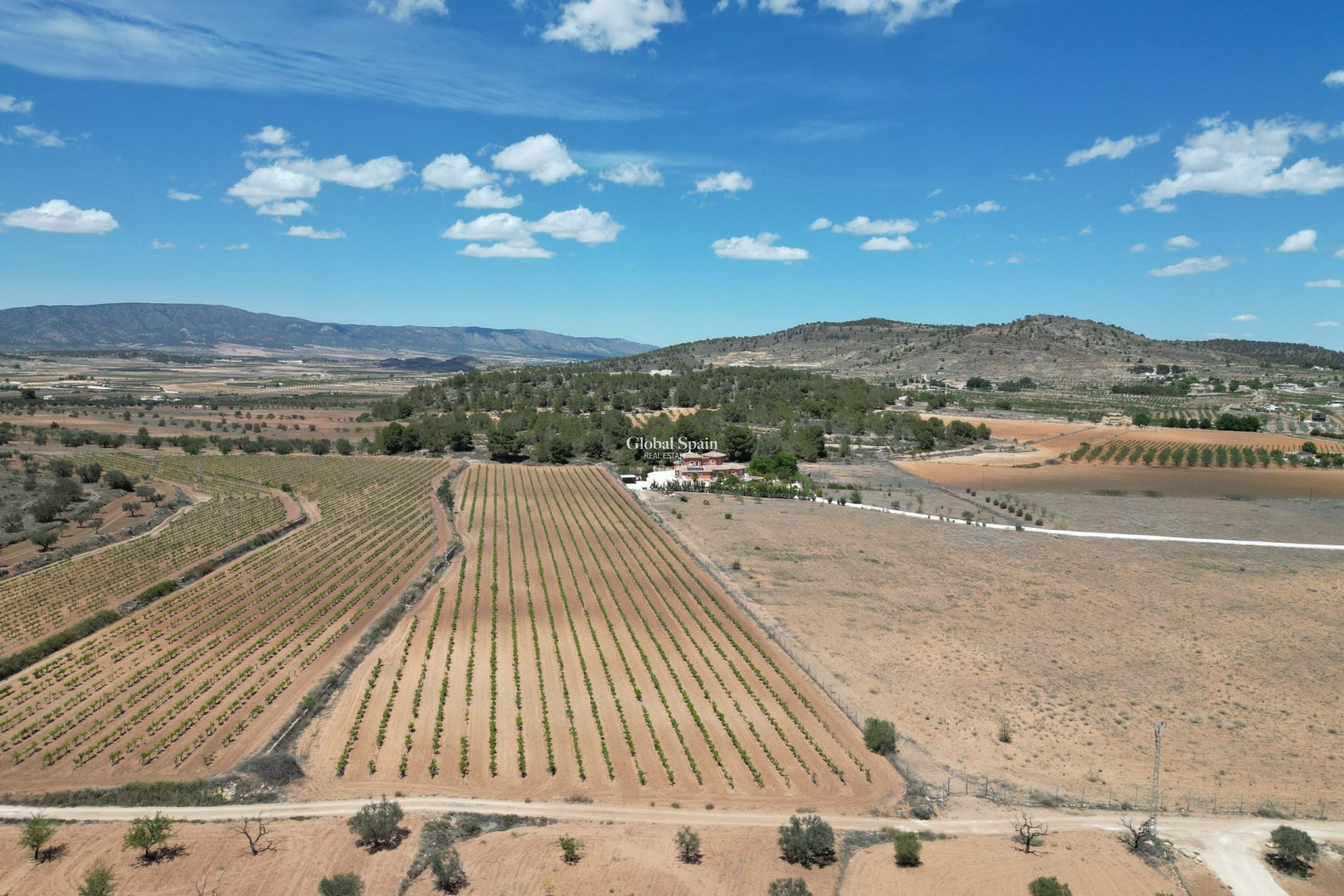 Wederverkoop - Grond -
Pinoso