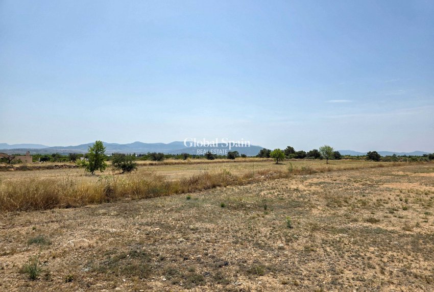 Wederverkoop - Grond -
Pinoso