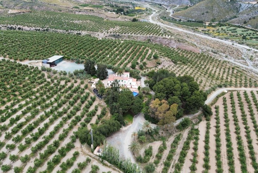 Wederverkoop - GROND -
PUERTO LUMBRERAS - Inland