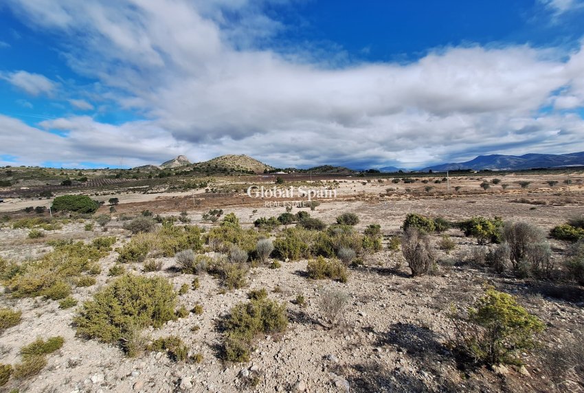 Wederverkoop - Grond -
Salinas