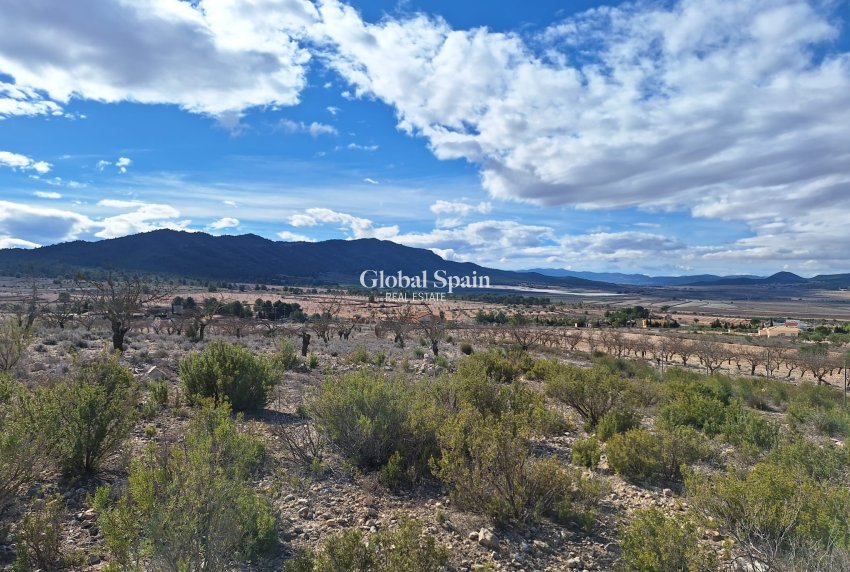 Wederverkoop - Grond -
Salinas