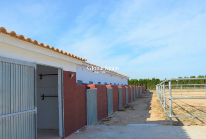 Wederverkoop - GROND -
SAN MIGUEL DE SALINAS - Inland