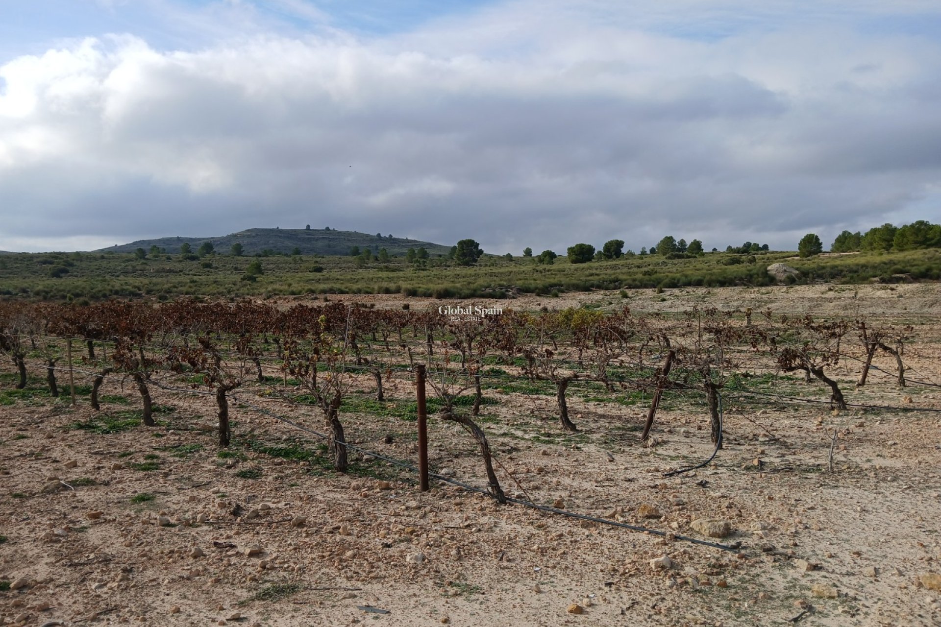 Wederverkoop - GROND -
YECLA - Inland