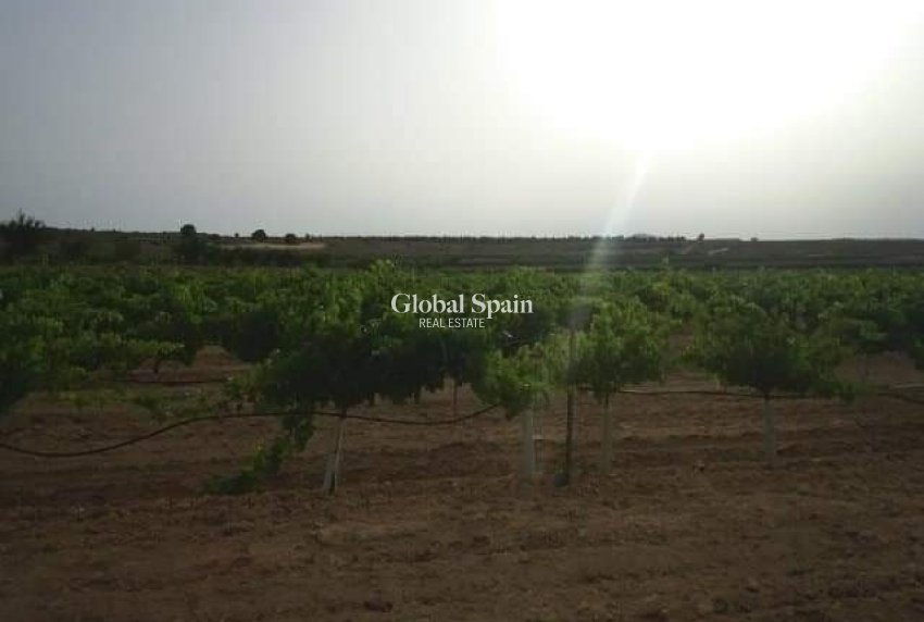 Wederverkoop - GROND -
YECLA - Inland