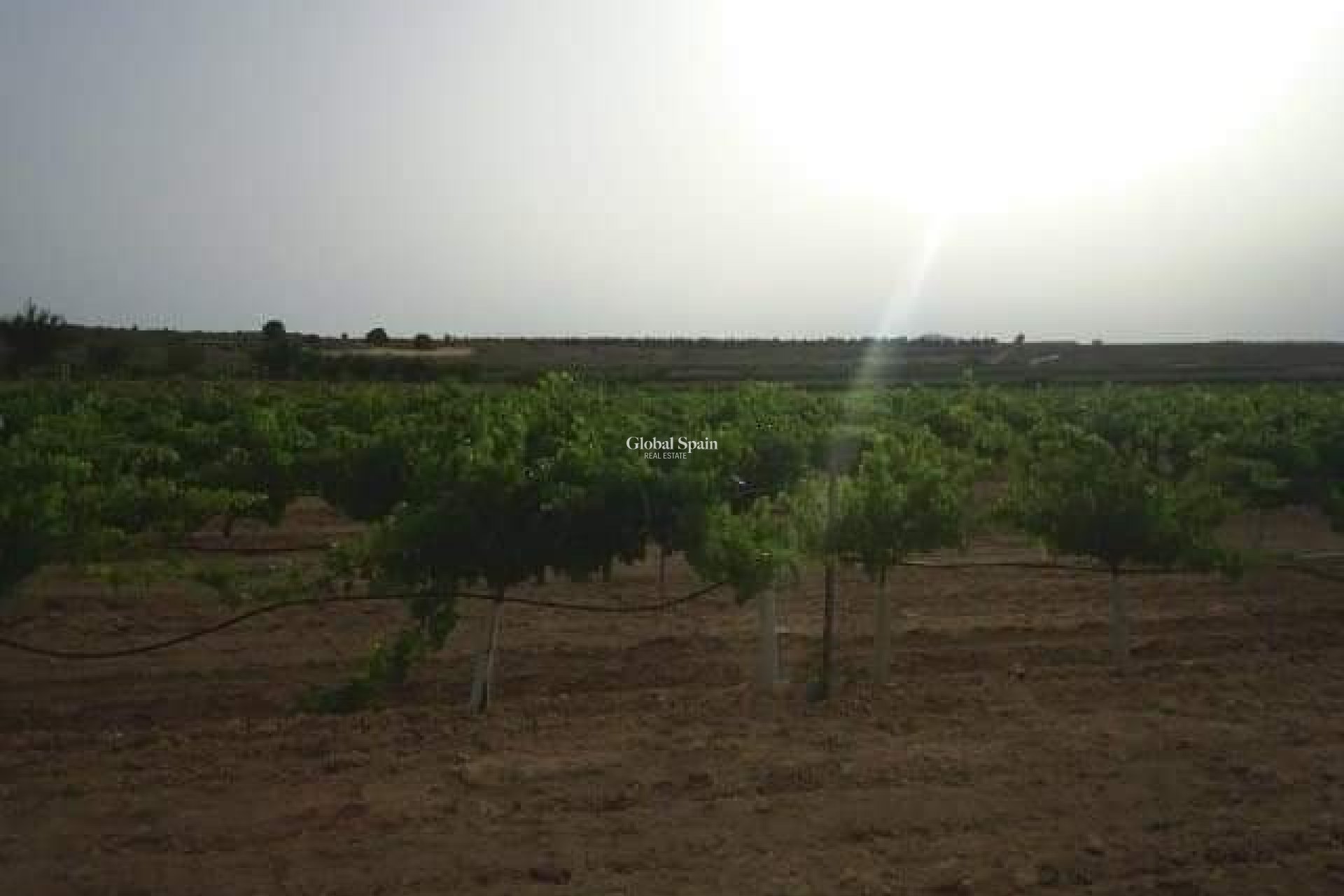 Wederverkoop - GROND -
YECLA - Inland