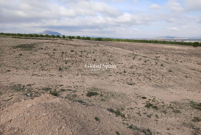 Wederverkoop - GROND -
YECLA - Inland