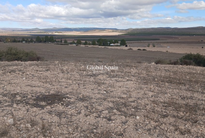 Wederverkoop - GROND -
YECLA - Inland