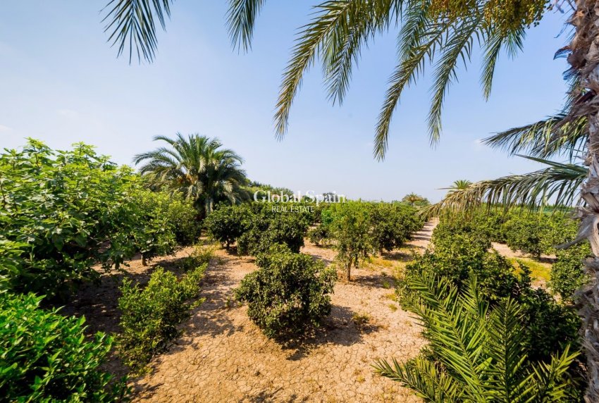 Wederverkoop - HUIS -
ALMORADÍ - Camino De Catral