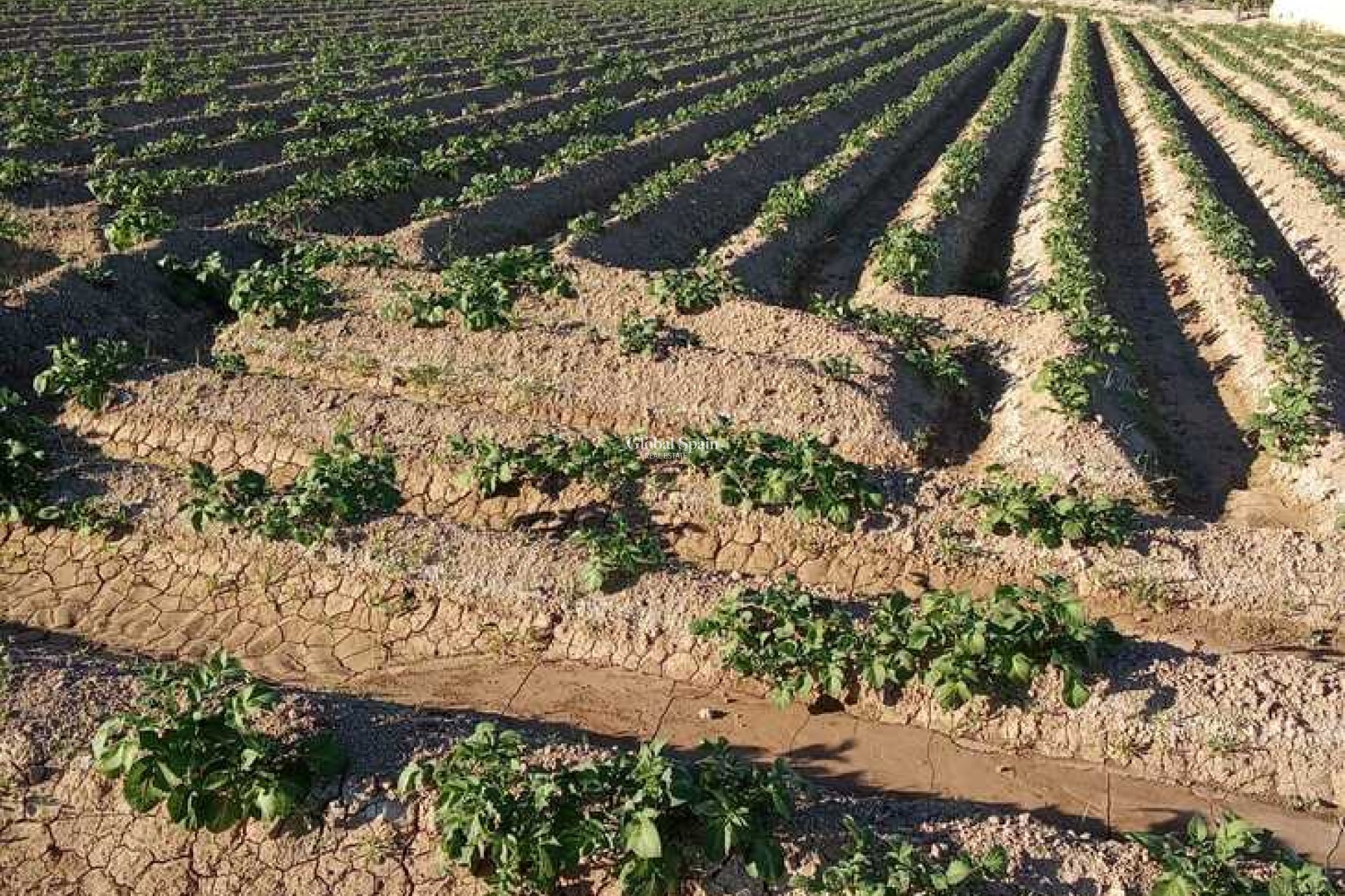 Wederverkoop - HUIS -
ARNEVA - LOS DESAMPARADOS