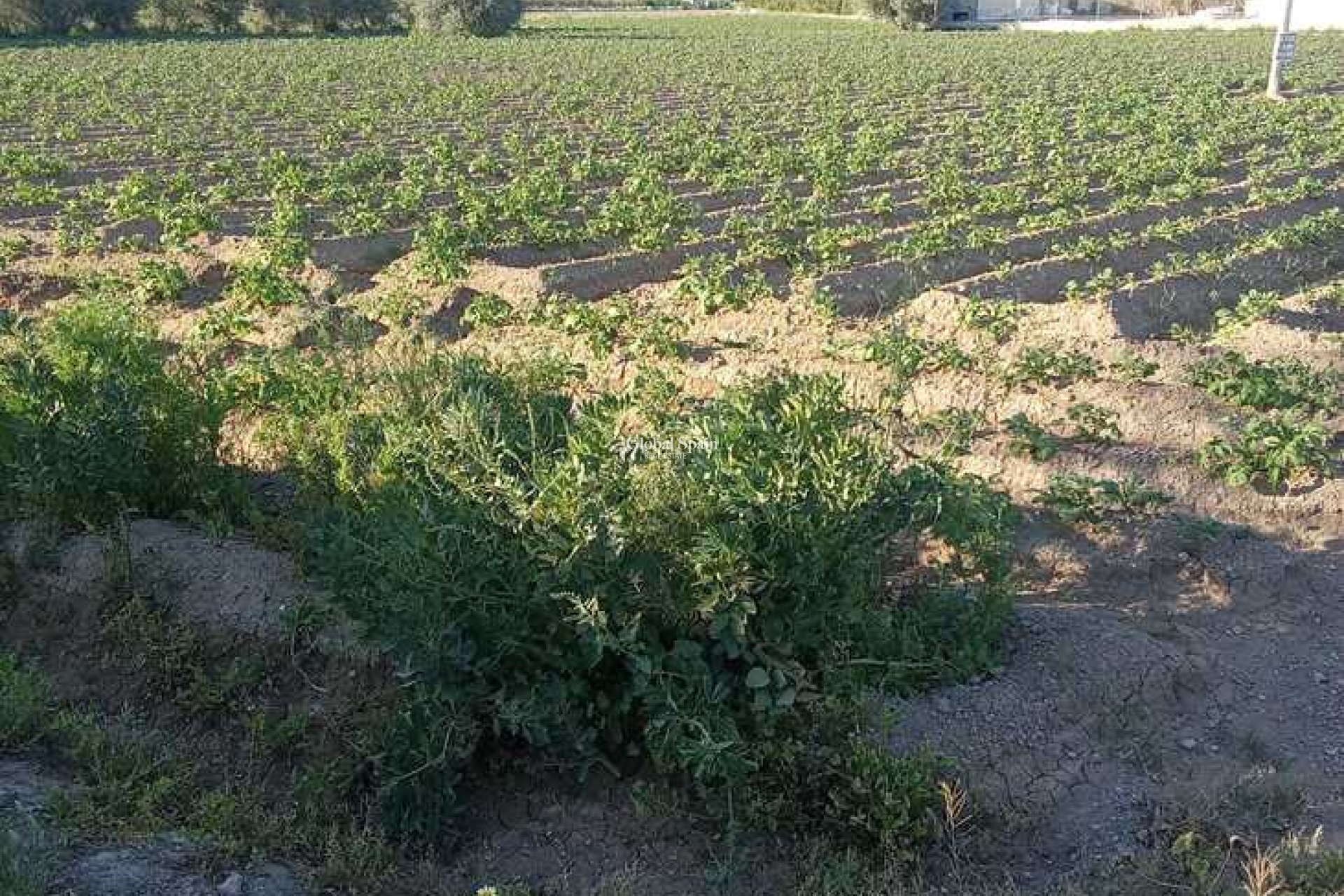 Wederverkoop - HUIS -
ARNEVA - LOS DESAMPARADOS