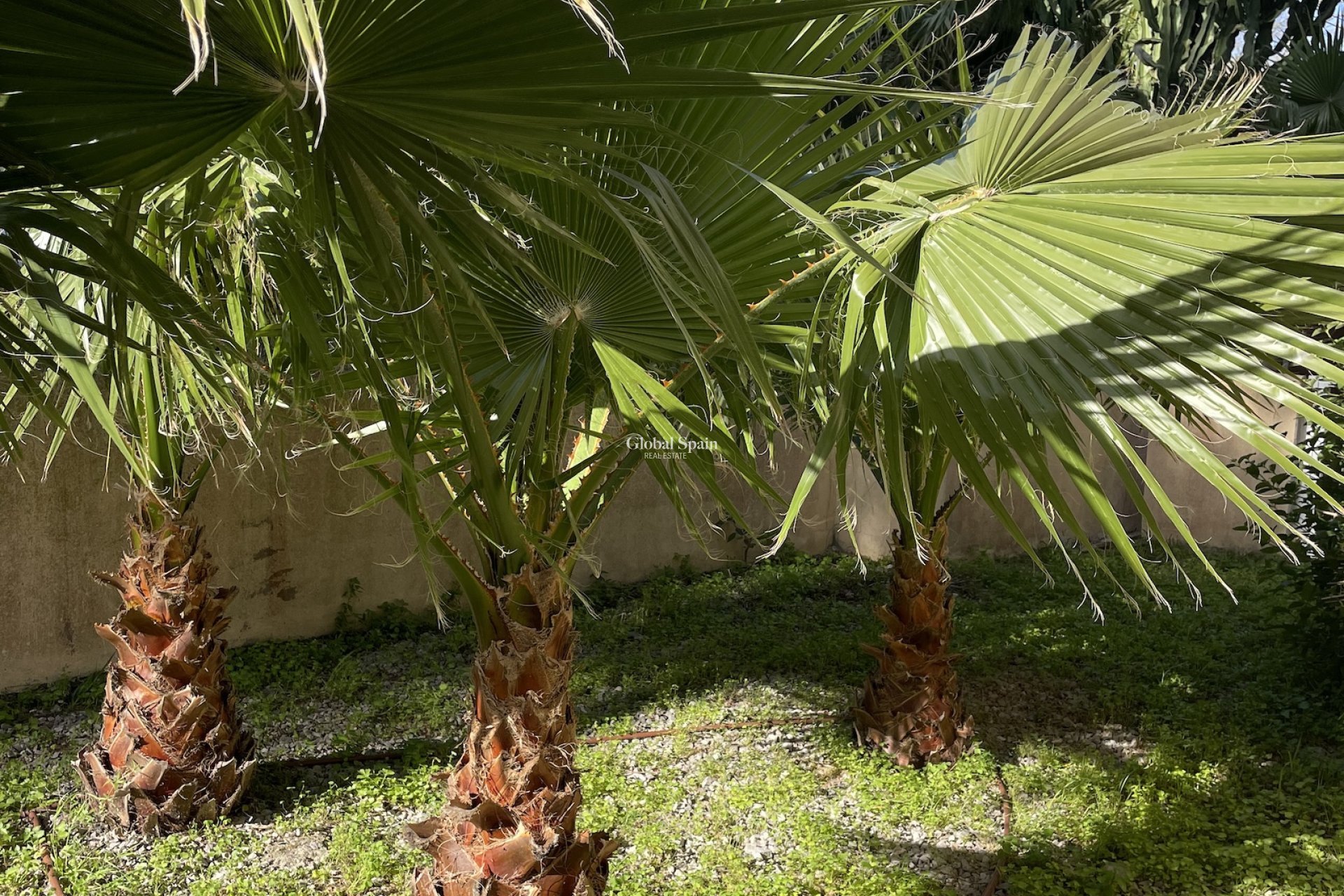 Wederverkoop - HUIS -
CALA MURADA - optional location detail