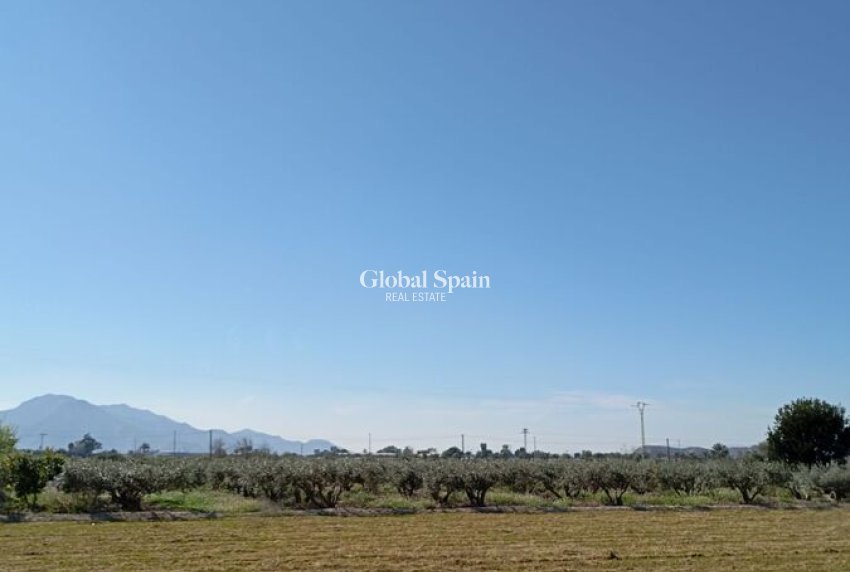 Wederverkoop - HUIS -
CATRAL - Costa Blanca