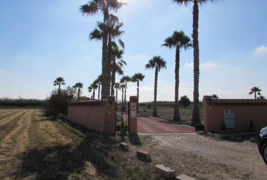 Wederverkoop - HUIS -
DOLORES - Comunidad Valenciana