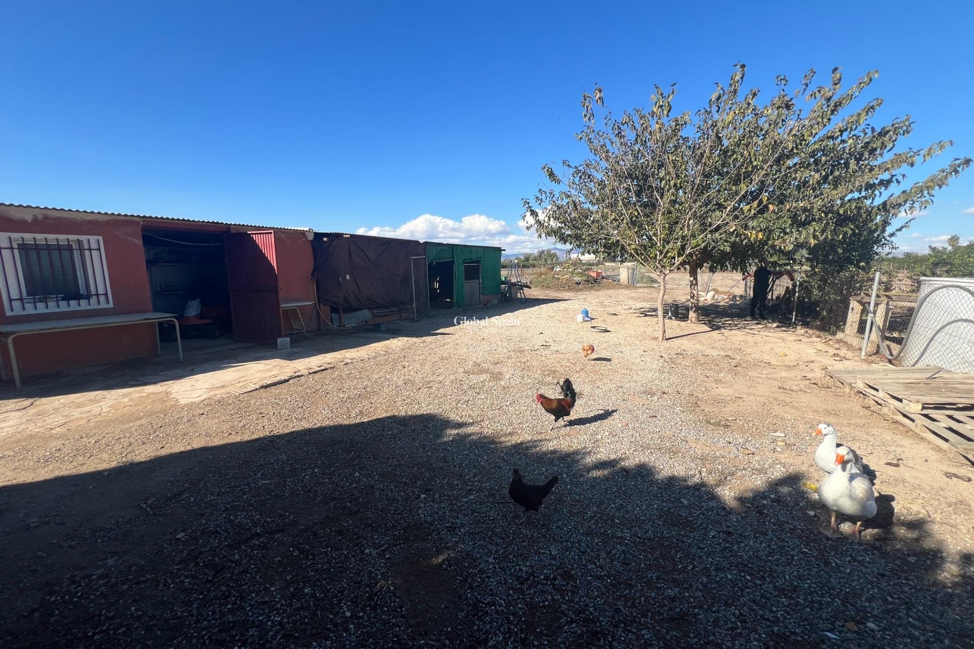Wederverkoop - HUIS -
DOLORES - Comunidad Valenciana