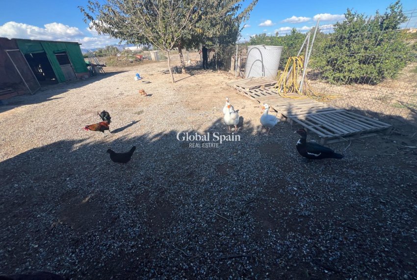 Wederverkoop - HUIS -
DOLORES - Comunidad Valenciana