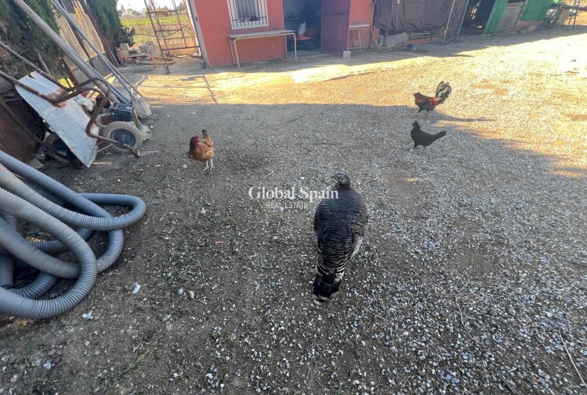 Wederverkoop - HUIS -
DOLORES - Comunidad Valenciana