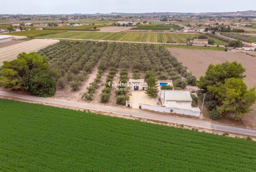 Wederverkoop - HUIS -
DOLORES - Costa Blanca