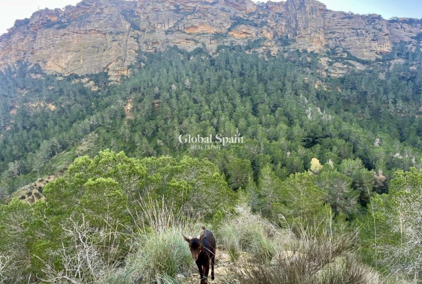 Wederverkoop - HUIS -
GEA Y TRUYOLS - Sierra de Columbares Natural Park