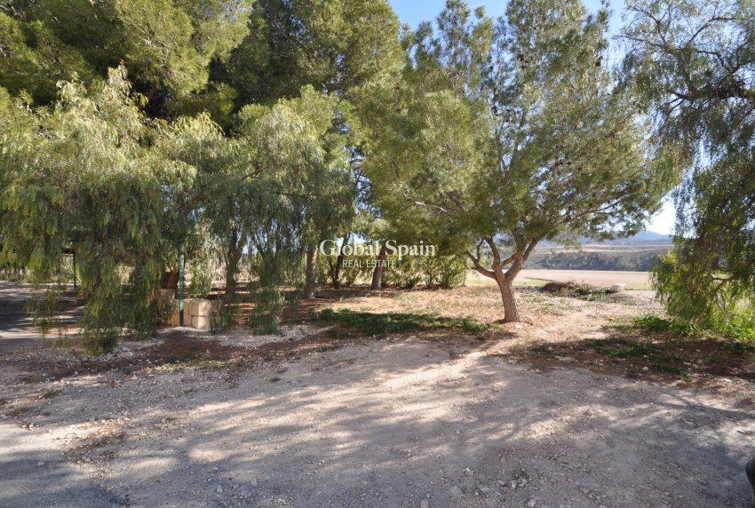 Wederverkoop - HUIS -
JUMILLA - Inland