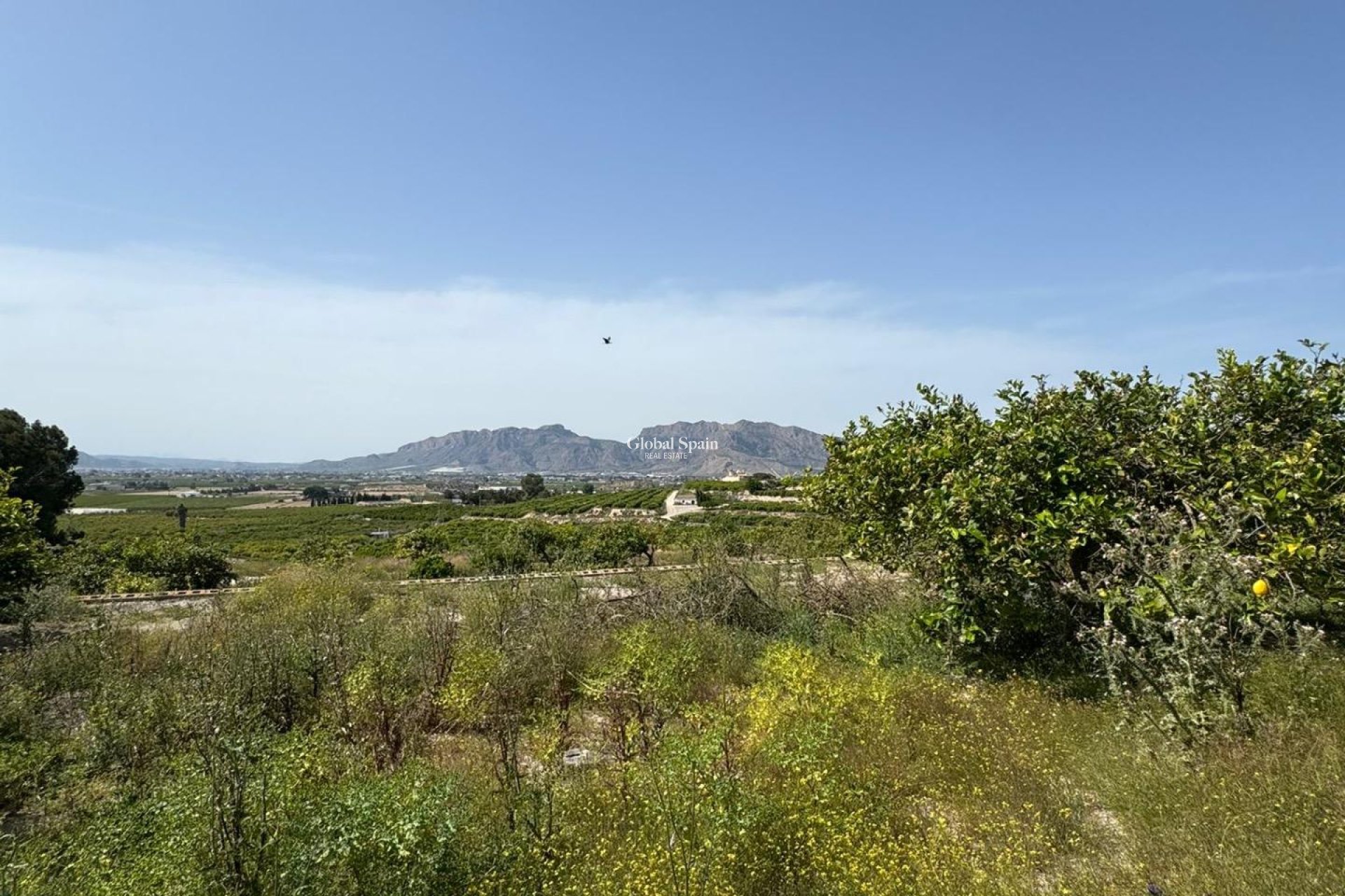 Wederverkoop - HUIS -
ORIHUELA - Arneva