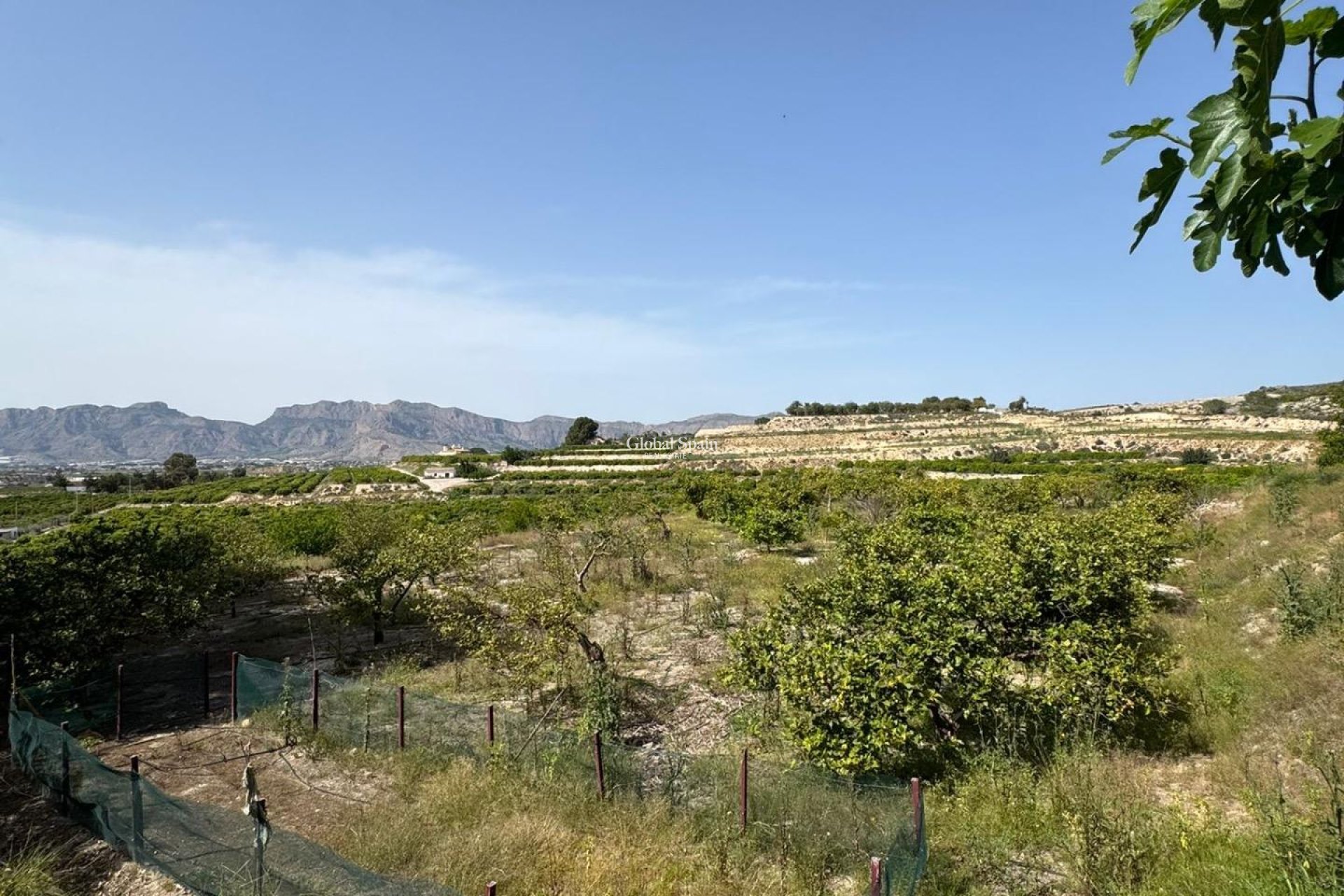Wederverkoop - HUIS -
ORIHUELA - Arneva