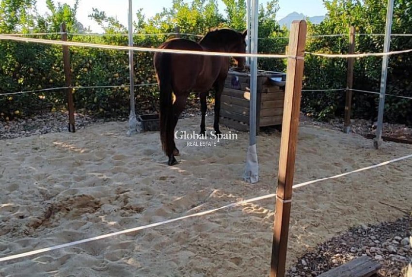 Wederverkoop - HUIS -
ORIHUELA - Inland