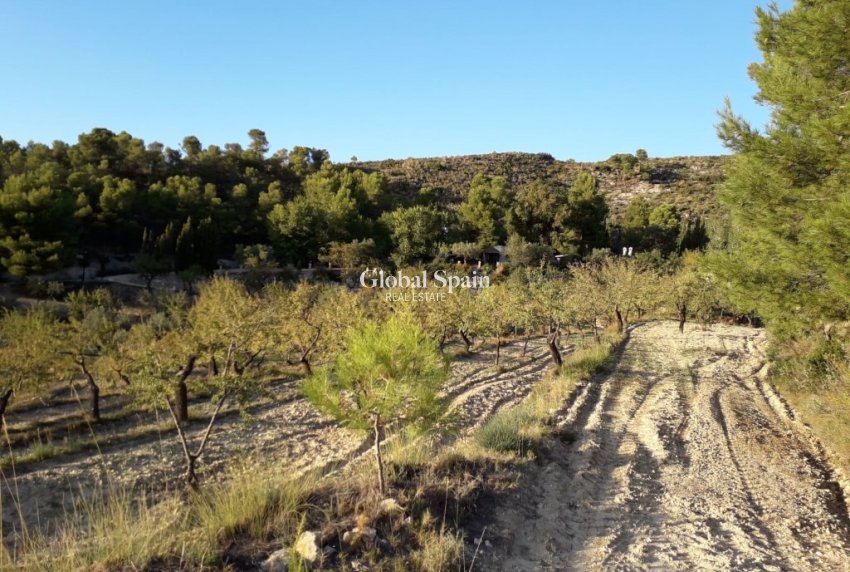 Wederverkoop - HUIS -
TORREMANZANAS - Costa Blanca