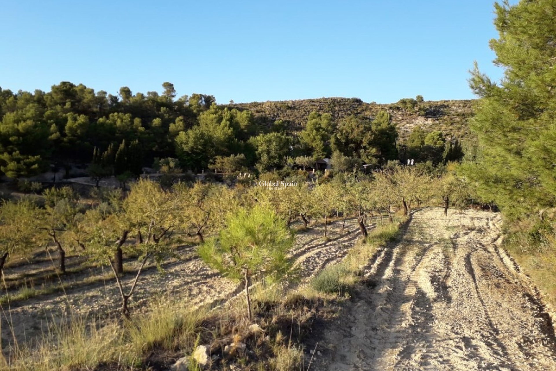 Wederverkoop - HUIS -
TORREMANZANAS - Costa Blanca