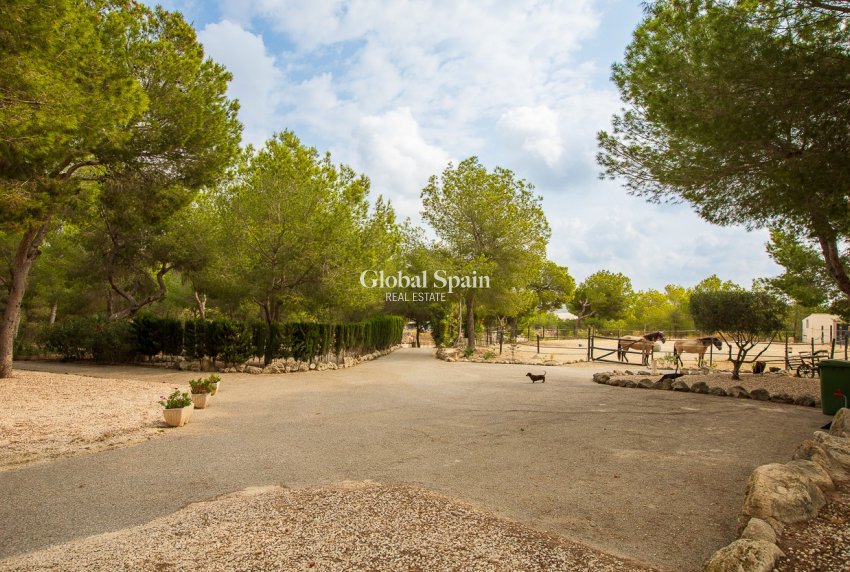 Wederverkoop - HUIS -
TORREMENDO - Costa Blanca