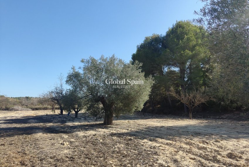 Wederverkoop - HUIS -
TORREMENDO - Torremendo