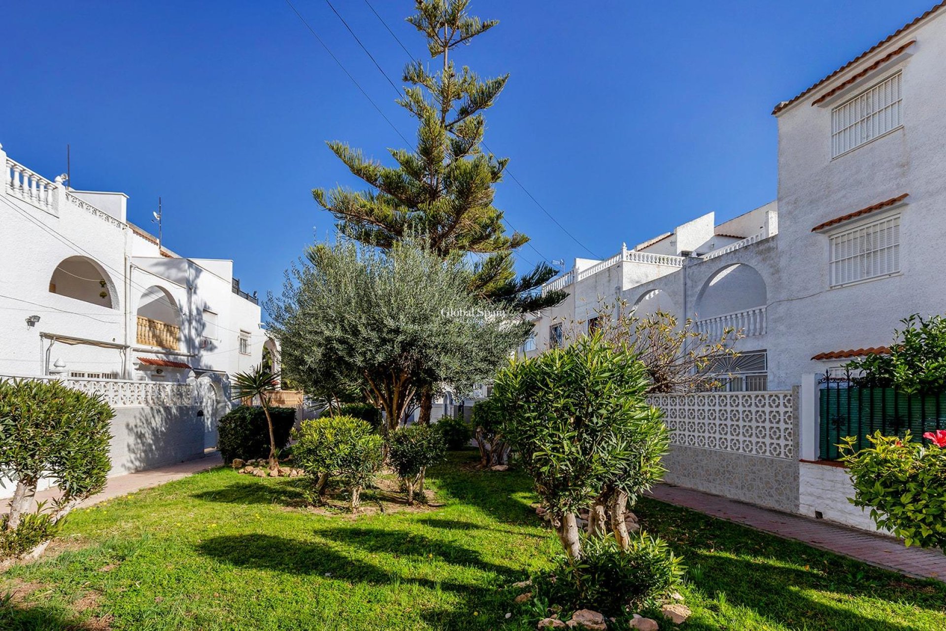 Wederverkoop - HUIS -
TORREVIEJA - Calas blanca