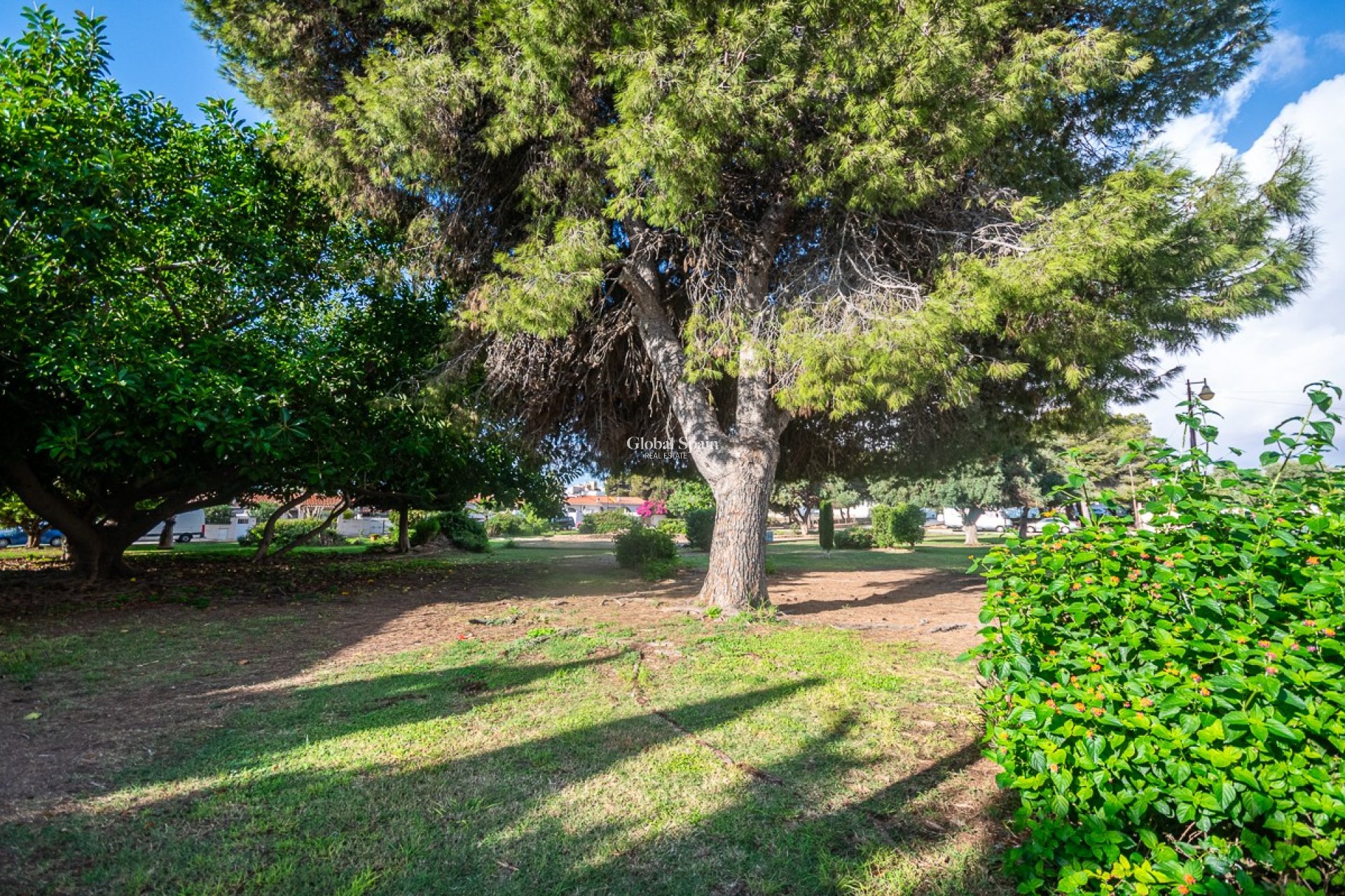 Wederverkoop - HUIS -
TORREVIEJA - Calas Blancas