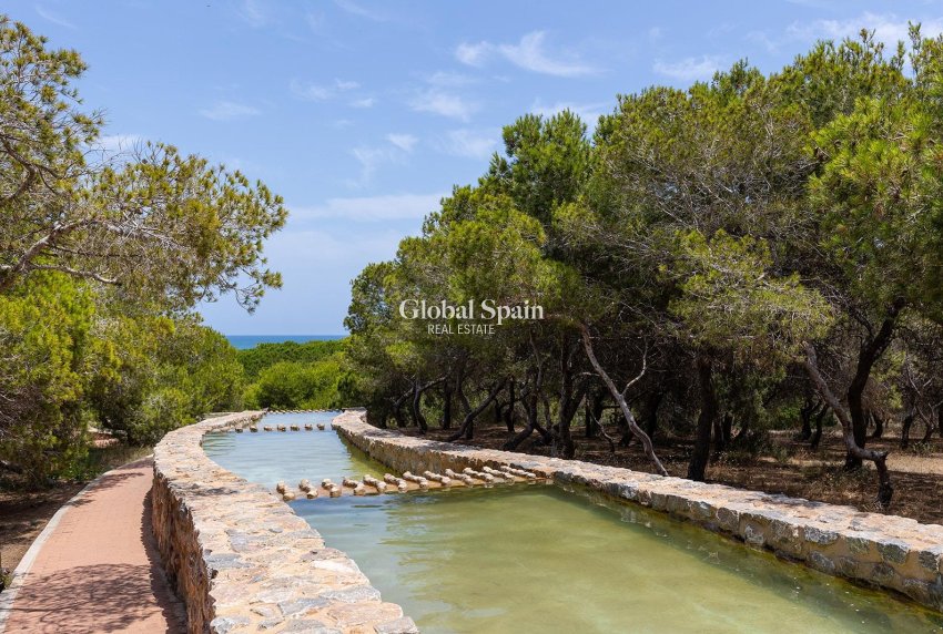 Wederverkoop - Huis -
TORREVIEJA - La Mata