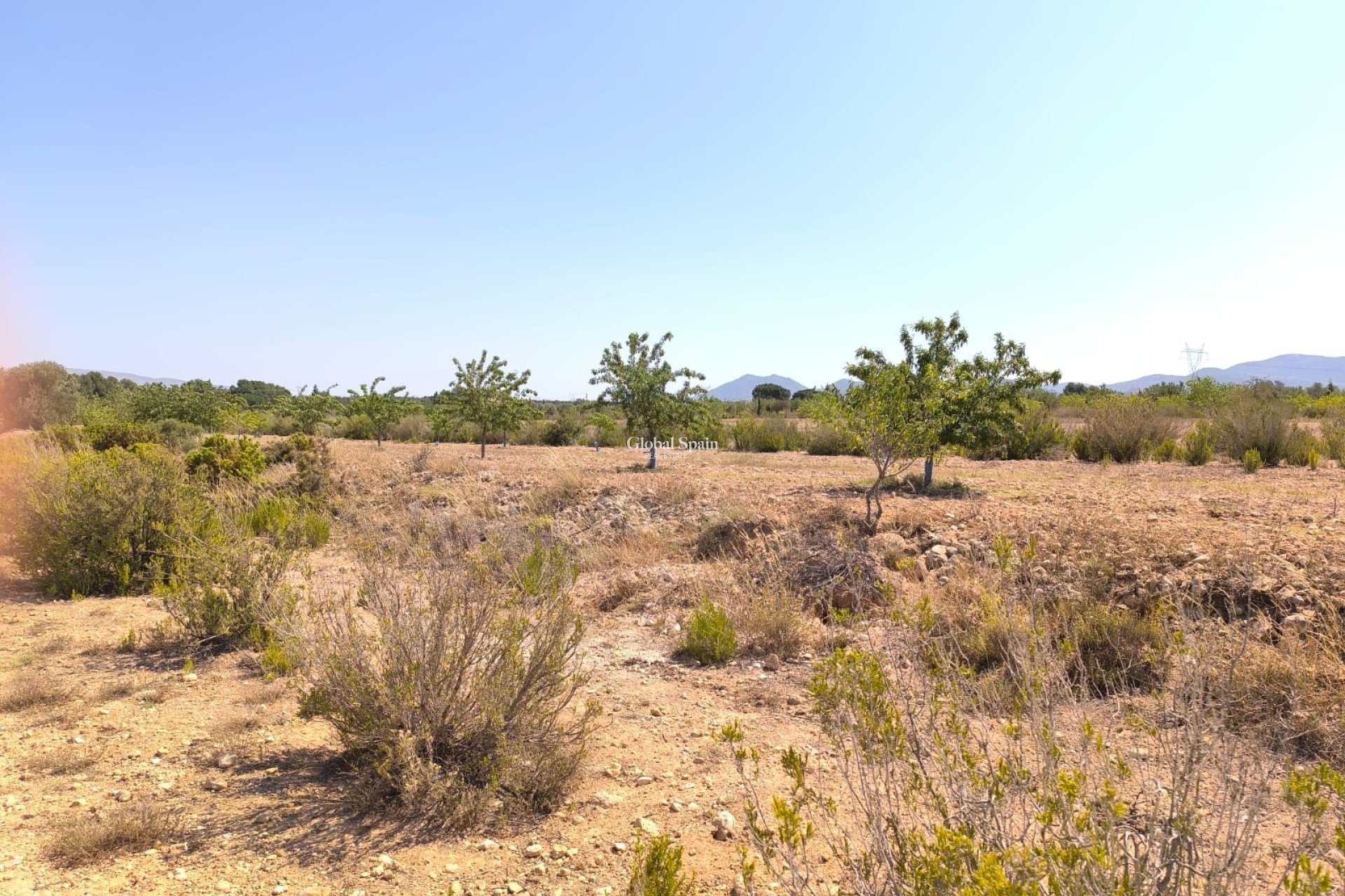 Wederverkoop - HUIS -
VILLENA - Inland
