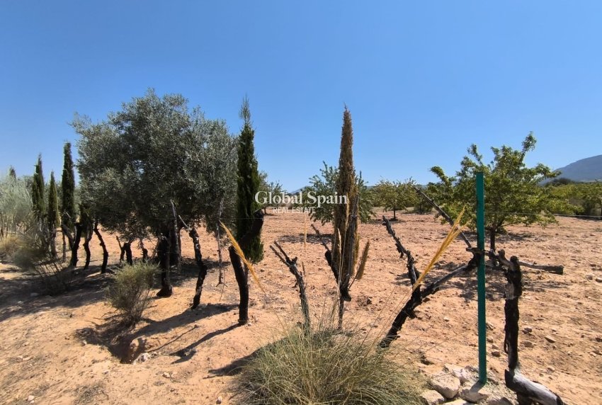 Wederverkoop - HUIS -
VILLENA - Inland