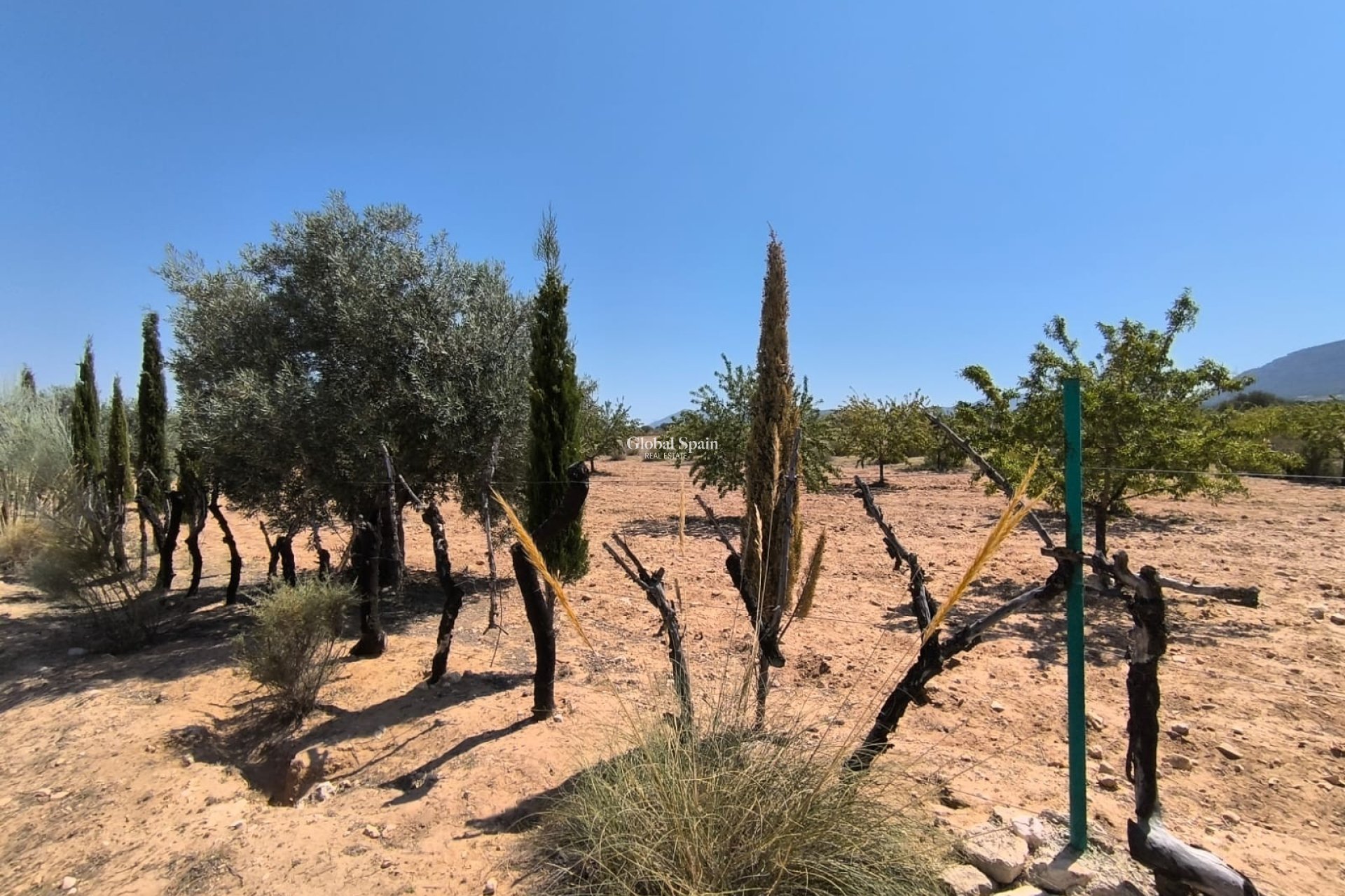 Wederverkoop - HUIS -
VILLENA - Inland