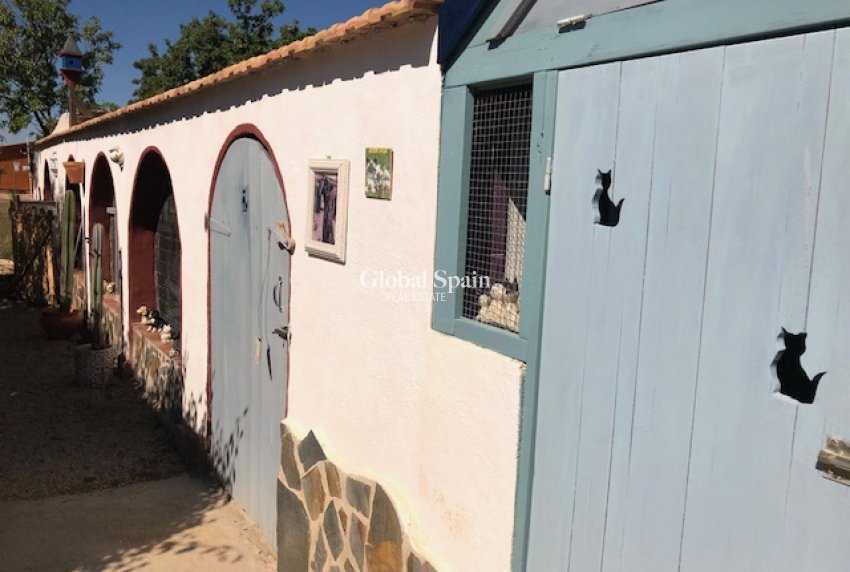 Wederverkoop -  -
LA MATANZA - La Matanza